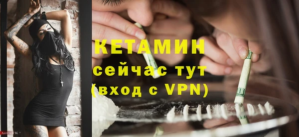 крисы Баксан