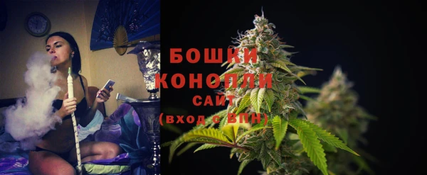 крисы Баксан