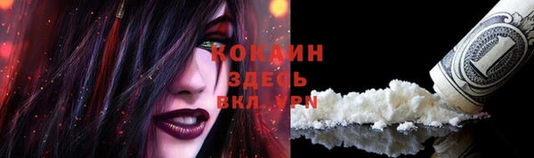 крисы Баксан