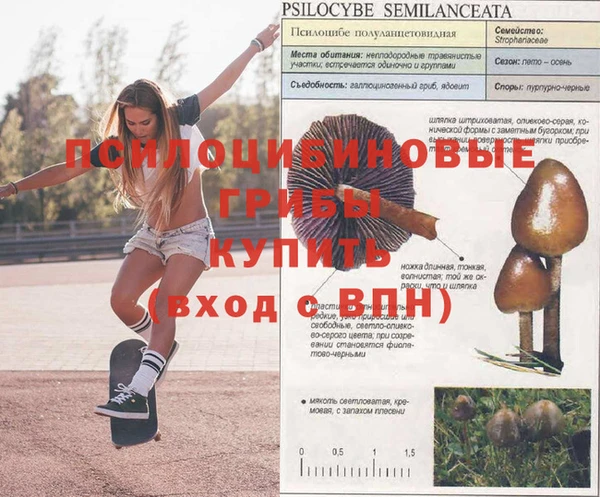 кокаин VHQ Богородицк