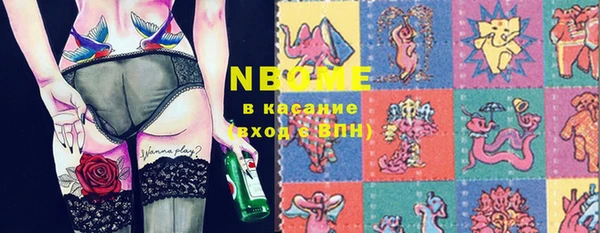 крисы Баксан
