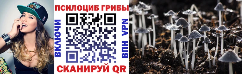Купить закладки  Сланцы  Галлюциногенные грибы MAGIC MUSHROOMS 